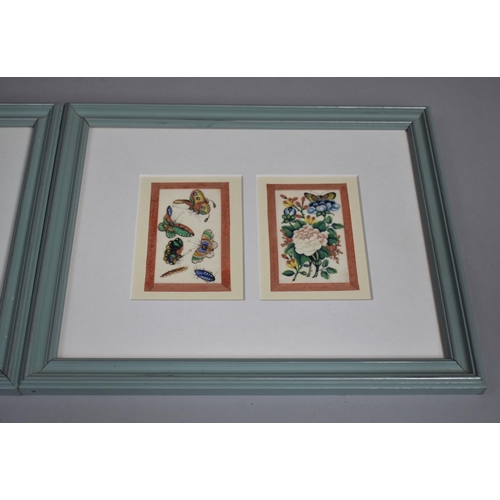 252 - Three Chinese Rectangular Pith Paintings, Single Glazed Frame and Dual Frame (Unglazed) Depicting Na... 