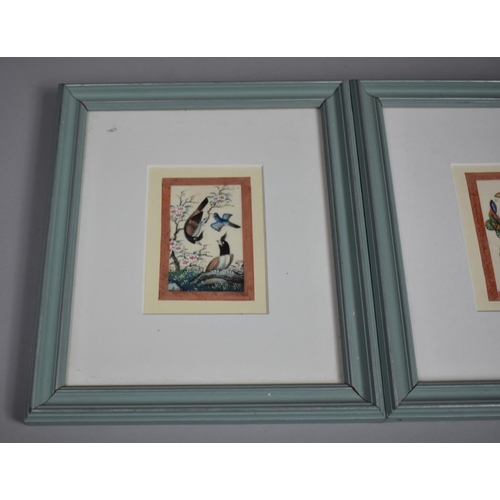 252 - Three Chinese Rectangular Pith Paintings, Single Glazed Frame and Dual Frame (Unglazed) Depicting Na... 