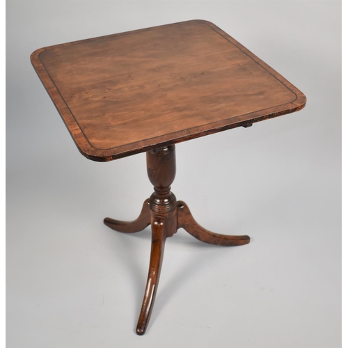 77 - An Early 19th Century George III Yew Wood Tripod Table with a Cross Banded Top over a Turned Column ... 