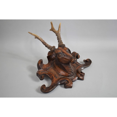 39 - A 19th Century Black Forest Carved Walnut Deers Head Trophy Mounted with Real Antlers, 40cms Wide by... 