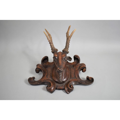 39 - A 19th Century Black Forest Carved Walnut Deers Head Trophy Mounted with Real Antlers, 40cms Wide by... 