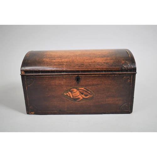 18 - An 18th Century George III Mahogany Dome Topped Tea Caddy with a Tulip Wood Crossbanding an Shell Mo... 