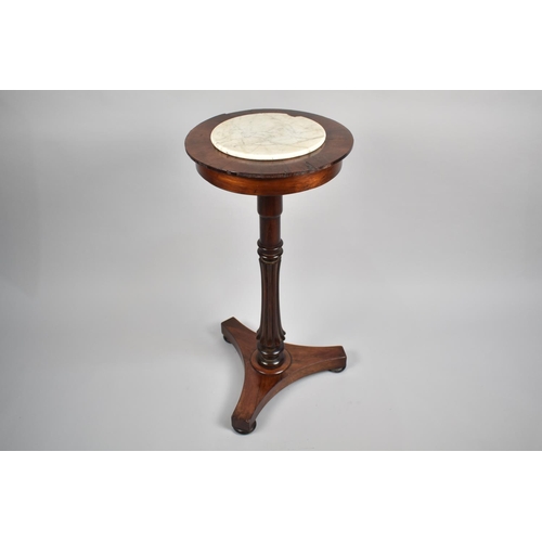 98 - An Early 19th Century William IV Rosewood Crocus Table with a Removable Marble Top, Supported on a C... 