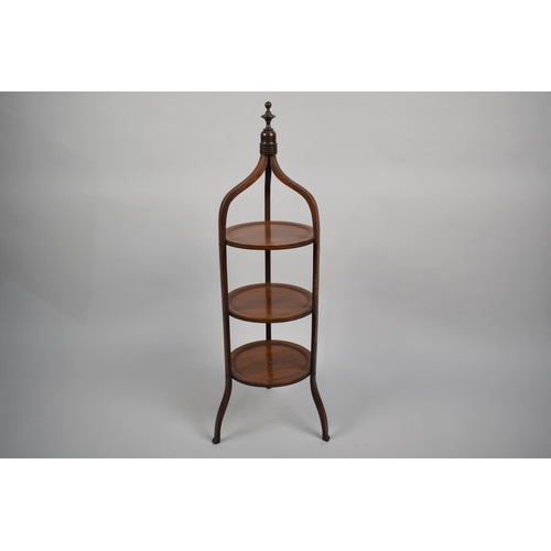 80 - A Late 19th Century Mahogany Three Tier Etagere/Cake Stand with a Turned Finial over Boxwood-Line In... 