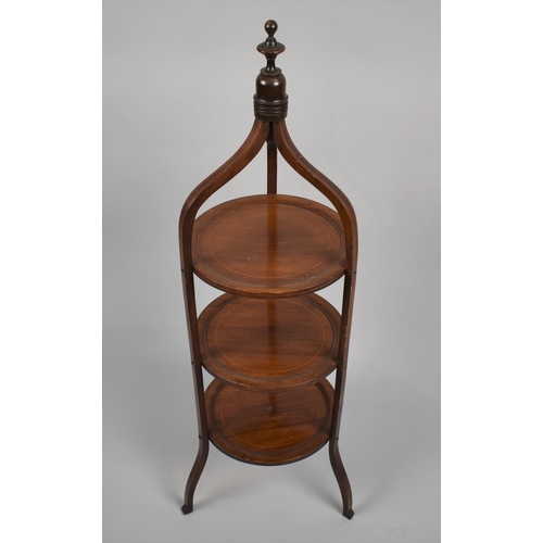 80 - A Late 19th Century Mahogany Three Tier Etagere/Cake Stand with a Turned Finial over Boxwood-Line In... 