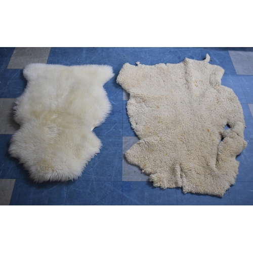 436 - Two Sheep Skin Rugs