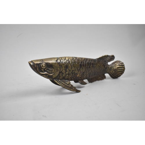 443 - A Cast Bronze Study of a Fish, 29cms Long