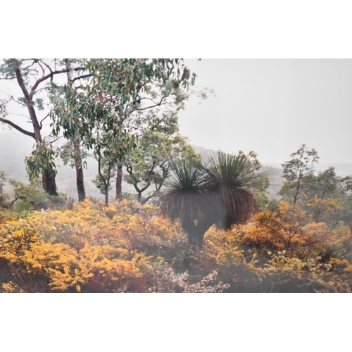 263 - Two Framed Photographs, Perth, Western Australia, 36x27cm