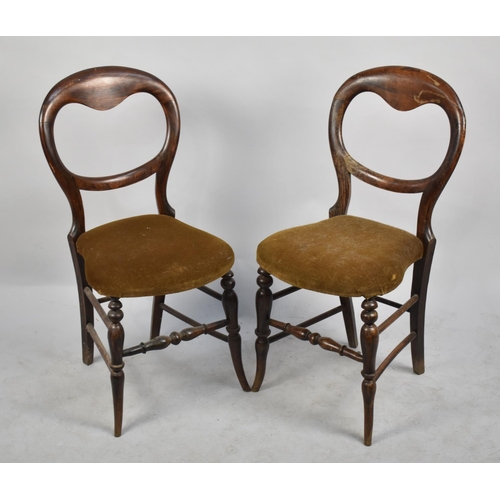 490 - A Pair of Late Victorian Balloon Back Bedroom Chairs