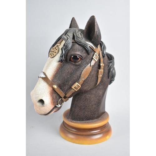 63 - A Modern Resin Study of a Heavy Horse Head by Leonardo, 31cm high