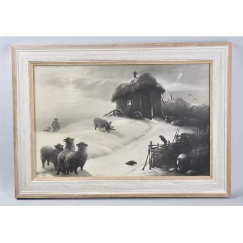 248 - A Framed Monochromed Print, Shepherd and Sheep in Winter, Signed E Douglas 1907, 46x30cm