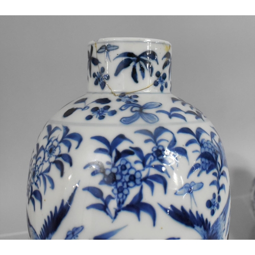 358 - A Near Pair of 19th Century Blue and White Baluster Vases decorated with Birds in Flight Amongst Flo... 