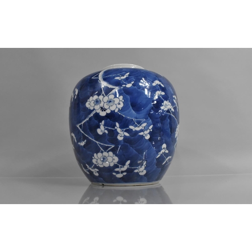 343 - A Large Late 19th Century Prunus Pattern Ginger Jar, Four Character Mark to Base for Kangxi, 23cms H... 