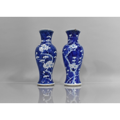 339 - A Near Pair of 19th century Prunus Pattern Vases of Baluster Form and with Tapered Necks, One with C... 