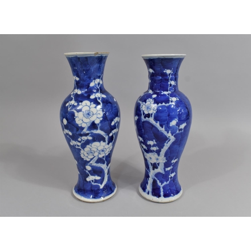 339 - A Near Pair of 19th century Prunus Pattern Vases of Baluster Form and with Tapered Necks, One with C... 