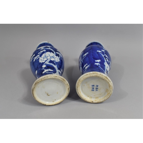 339 - A Near Pair of 19th century Prunus Pattern Vases of Baluster Form and with Tapered Necks, One with C... 