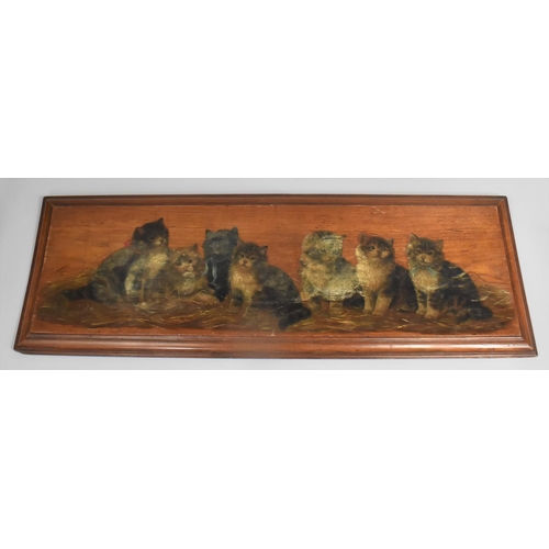 204 - Circle of Bessie Bamber, Oil on Mahogany Panel, Monogrammed BB, Study of Seven Cats, 91x32cms