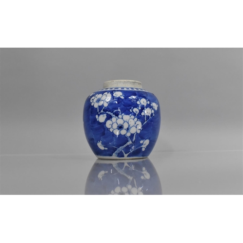 342 - A 19th Century Chinese Blue and White Prunus Pattern Ginger Jar, Double Concentric Mark to Base, 12c... 