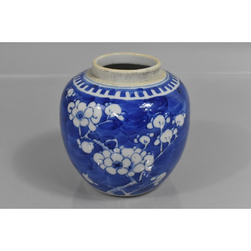 342 - A 19th Century Chinese Blue and White Prunus Pattern Ginger Jar, Double Concentric Mark to Base, 12c... 