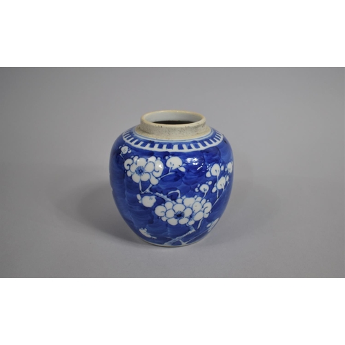 342 - A 19th Century Chinese Blue and White Prunus Pattern Ginger Jar, Double Concentric Mark to Base, 12c... 