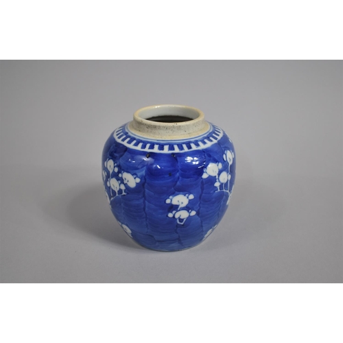 342 - A 19th Century Chinese Blue and White Prunus Pattern Ginger Jar, Double Concentric Mark to Base, 12c... 