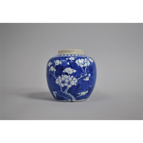 342 - A 19th Century Chinese Blue and White Prunus Pattern Ginger Jar, Double Concentric Mark to Base, 12c... 