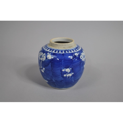 342 - A 19th Century Chinese Blue and White Prunus Pattern Ginger Jar, Double Concentric Mark to Base, 12c... 