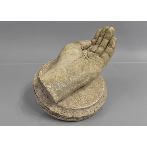 144 - A 19th Century Life Sized Plaster Cast of a Human Hand, Mounted on a Circular Plinth, Possibly repre... 