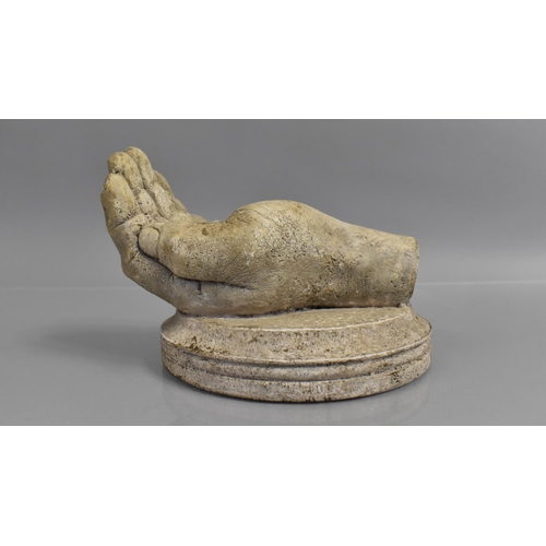 144 - A 19th Century Life Sized Plaster Cast of a Human Hand, Mounted on a Circular Plinth, Possibly repre... 