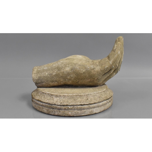 144 - A 19th Century Life Sized Plaster Cast of a Human Hand, Mounted on a Circular Plinth, Possibly repre... 