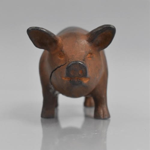 161 - A 19th Cast Iron Pig, Realistically Modelled and Painted, 16cm Long