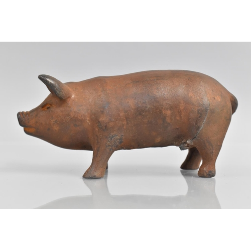 161 - A 19th Cast Iron Pig, Realistically Modelled and Painted, 16cm Long