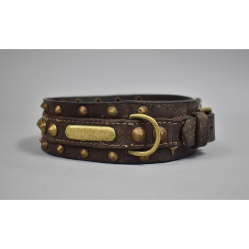 80 - A Victorian Brass Studded Leather Dog Collar, The Name Tag Inscribed 'Caston, 34 Rupert St, W'hampto... 