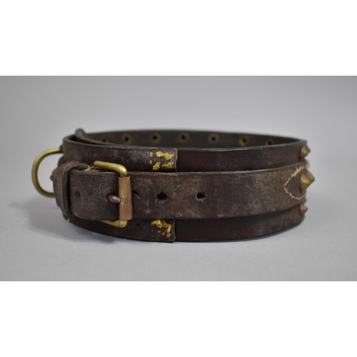 80 - A Victorian Brass Studded Leather Dog Collar, The Name Tag Inscribed 'Caston, 34 Rupert St, W'hampto... 