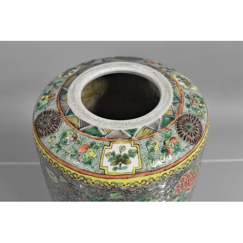 336 - An Impressive 18th/19th century Chinese Porcelain Vase, Finely Decorated in the Famille Noire Palett... 