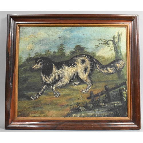 205 - A Late 19th Century Naive Oil on Canvas, Spaniel in Exterior Setting, Frame 73x62.5cms and Subject 6... 