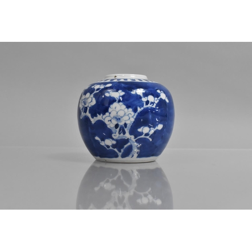 338 - A Small Chinese Porcelain Prunus Pattern Blue and White Ginger Jar, 20th Century, Double Concentric ... 