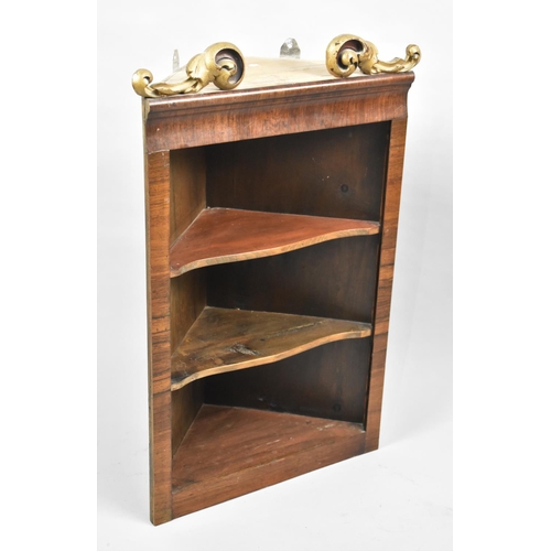 439 - A Late 19th Century Wall Hanging Two Shelf Corner Unit with Scrolled Gilded Mounts, 45cms Wide