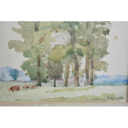 148 - A Framed Watercolour by JS Scattergood, Dated May 1928, Cattle Under Trees, 25x17cms