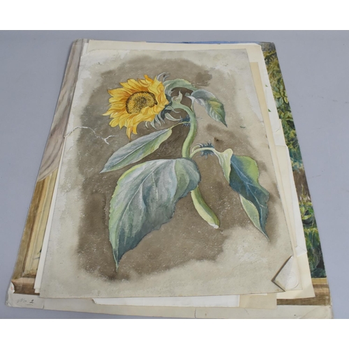 168 - A Collection of Mid 19th century and Later Still Life Botanic Watercolours and Prints