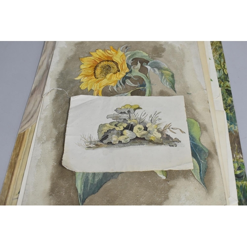 168 - A Collection of Mid 19th century and Later Still Life Botanic Watercolours and Prints