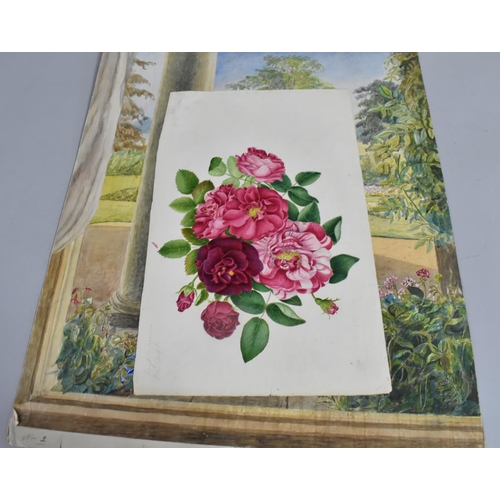 168 - A Collection of Mid 19th century and Later Still Life Botanic Watercolours and Prints