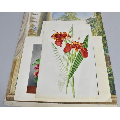 168 - A Collection of Mid 19th century and Later Still Life Botanic Watercolours and Prints