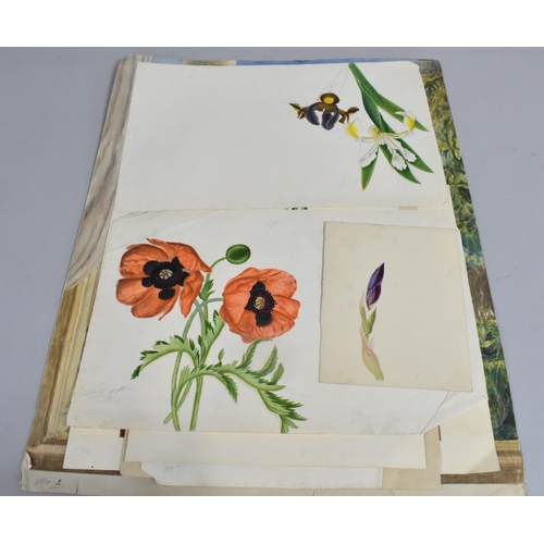 168 - A Collection of Mid 19th century and Later Still Life Botanic Watercolours and Prints