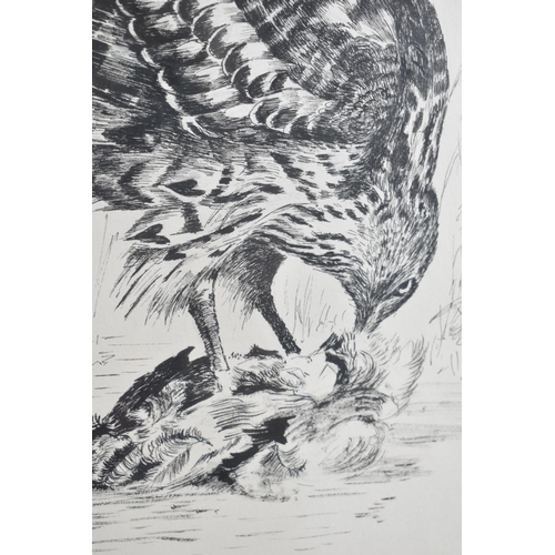 267 - A Framed Study of Hawk with Prey, Signed Goddard, 29x38cm