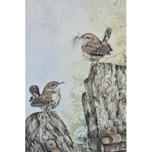 285 - A Framed Artist's Proof Print by Jan Bowles, Nest Building, 32x48cm