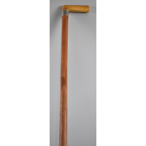 72 - A Horn handled Malacca Walking Cane with Silver Band Hallmarked and Dated 1895