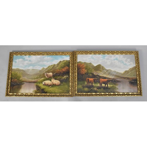 217 - A Pair of Gilt Framed Oils on Canvas, Sheep and Highland Cattle, 60x39cms, Signed J Mathew