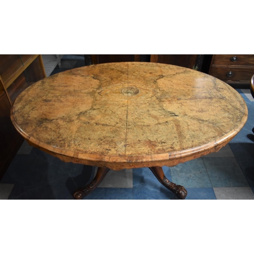 432 - A Victorian Burr Walnut Oval Snap Top Breakfast Table, Water Damaged Top on Mahogany Quadrant Carved... 