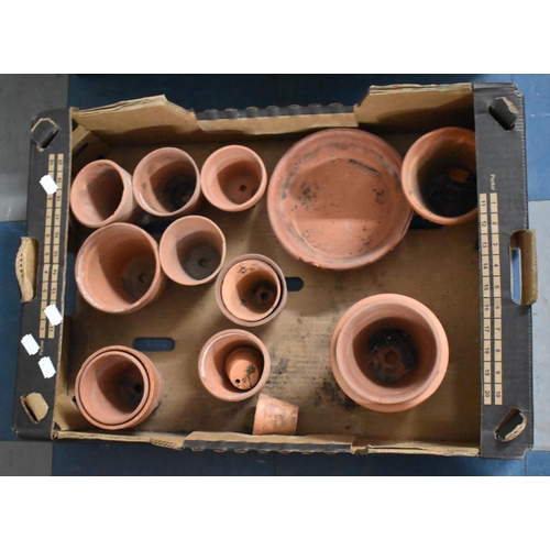 361 - A Small Collection of Terracotta Plant Pots